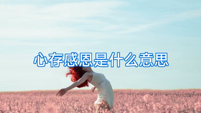 心存感恩是什么意思