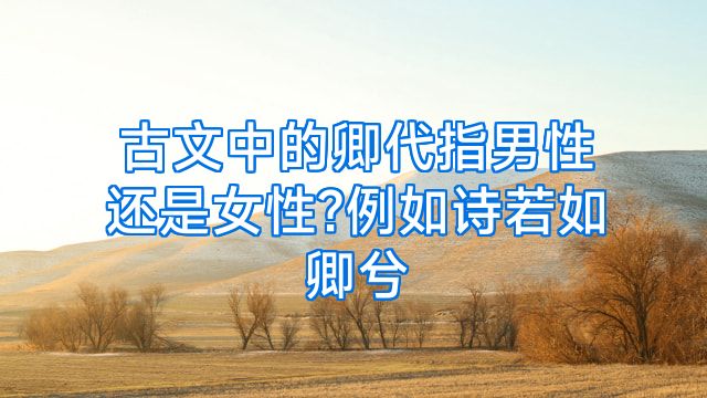古文中的卿代指男性还是女性?例如诗若如卿兮
