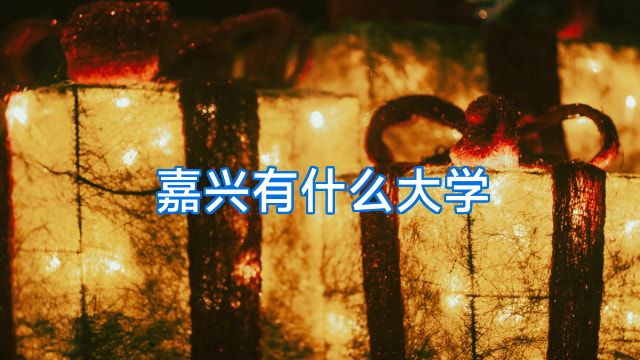 嘉兴有什么大学