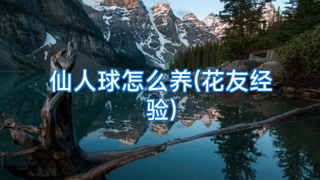 仙人球怎么养(花友经验)