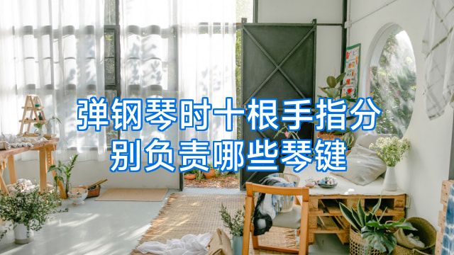 弹钢琴时十根手指分别负责哪些琴键