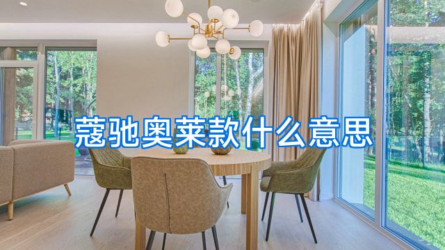 蔻驰奥莱款什么意思