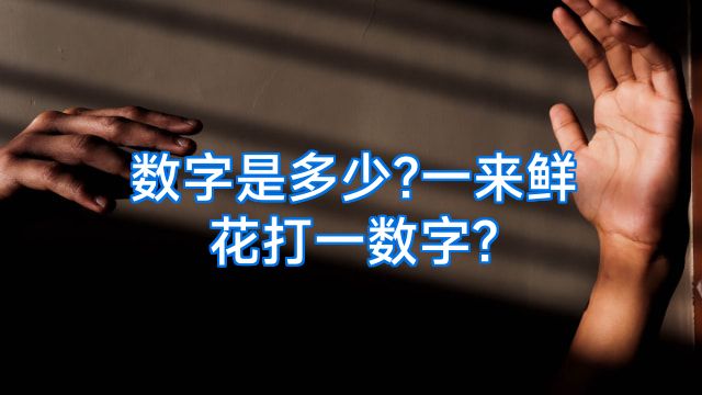 数字是多少?一来鲜花打一数字?