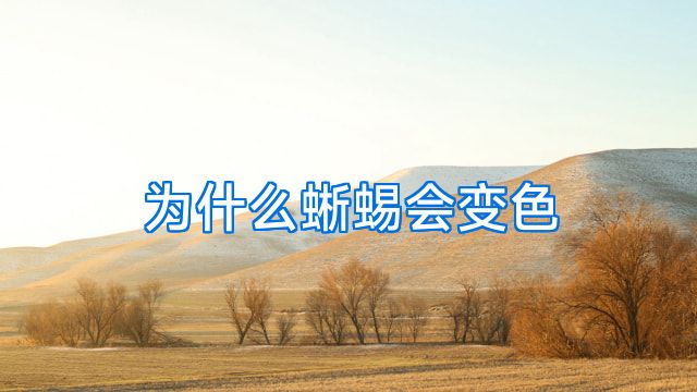为什么蜥蜴会变色
