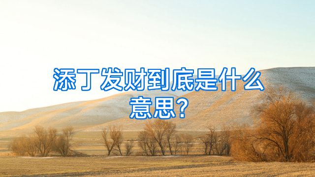 添丁发财到底是什么意思?