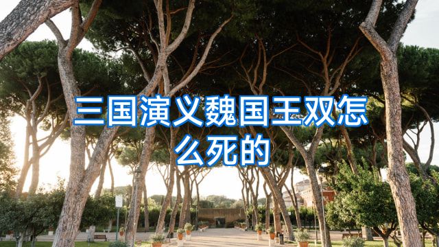 三国演义魏国王双怎么死的