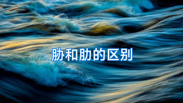 胁和肋的区别