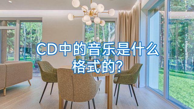 CD中的音乐是什么格式的?