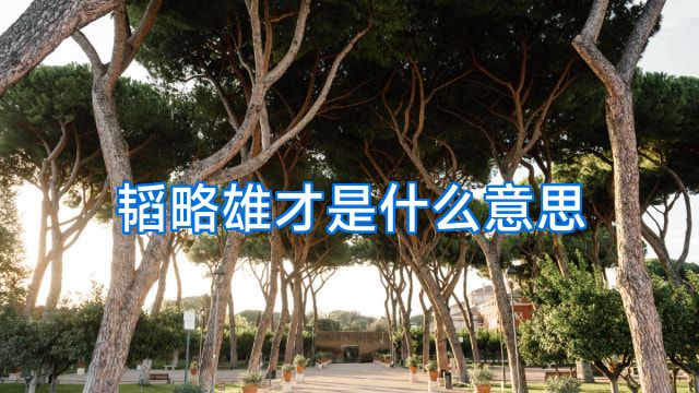 韬略雄才是什么意思
