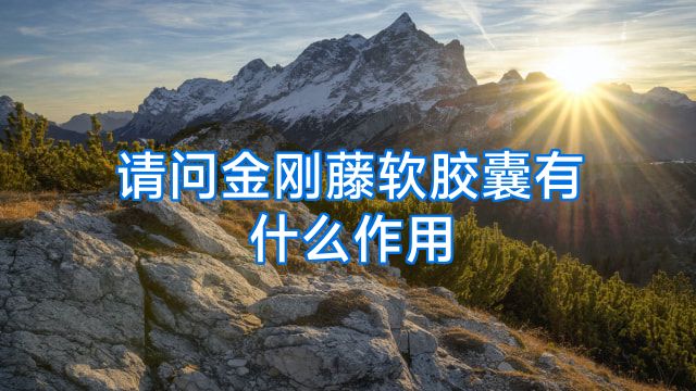 请问金刚藤软胶囊有什么作用
