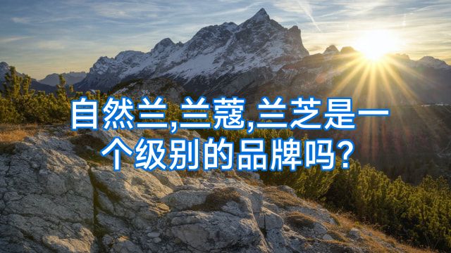 自然兰,兰蔻,兰芝是一个级别的品牌吗?