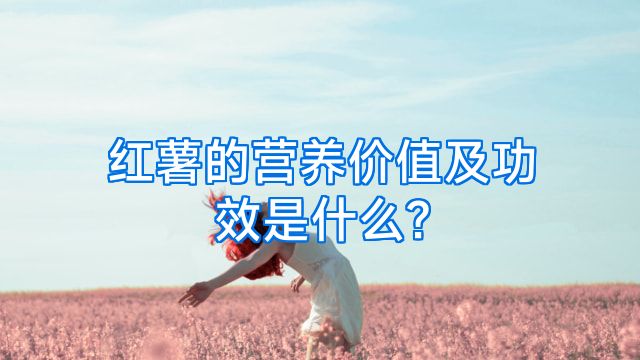 红薯的营养价值及功效是什么?