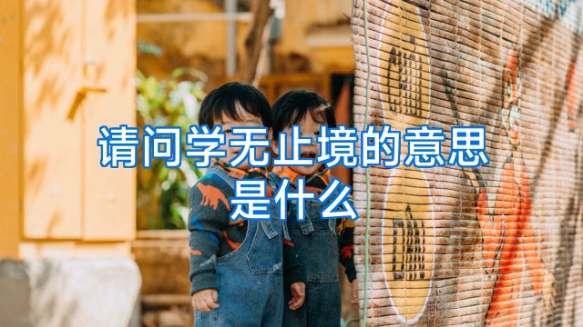 请问学无止境的意思是什么