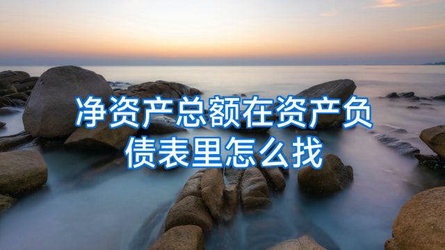 净资产总额在资产负债表里怎么找