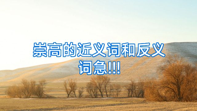 崇高的近义词和反义词急!!!