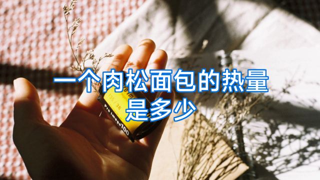 一个肉松面包的热量是多少