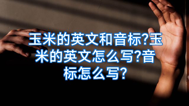 玉米的英文和音标?玉米的英文怎么写?音标怎么写?