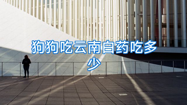 狗狗吃云南白药吃多少