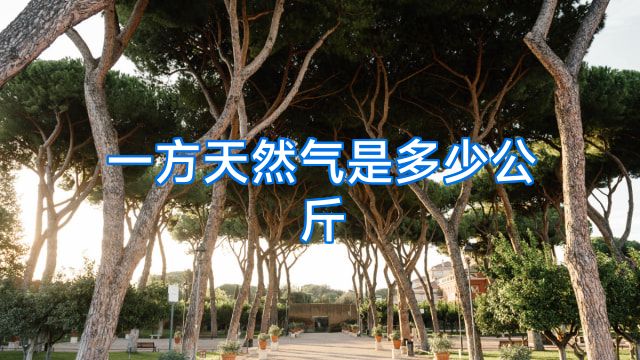 一方天然气是多少公斤