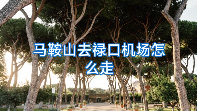 马鞍山去禄口机场怎么走