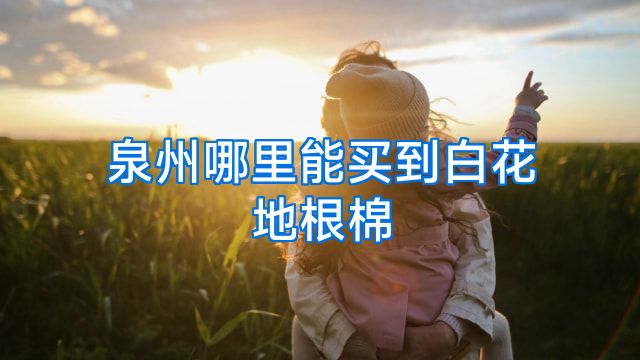 泉州哪里能买到白花地根棉