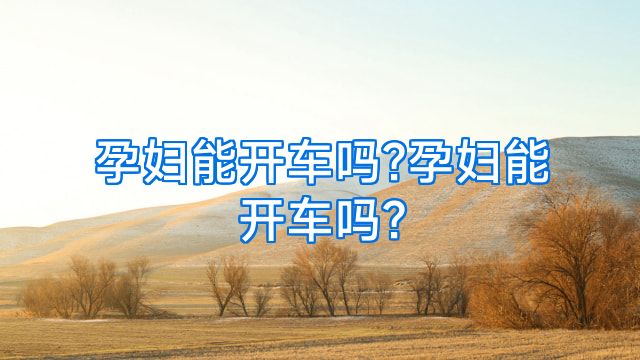 孕妇能开车吗?孕妇能开车吗?