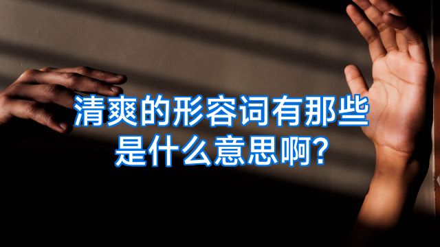 清爽的形容词有那些是什么意思啊?