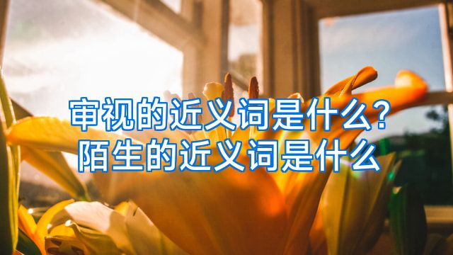 审视的近义词是什么?陌生的近义词是什么