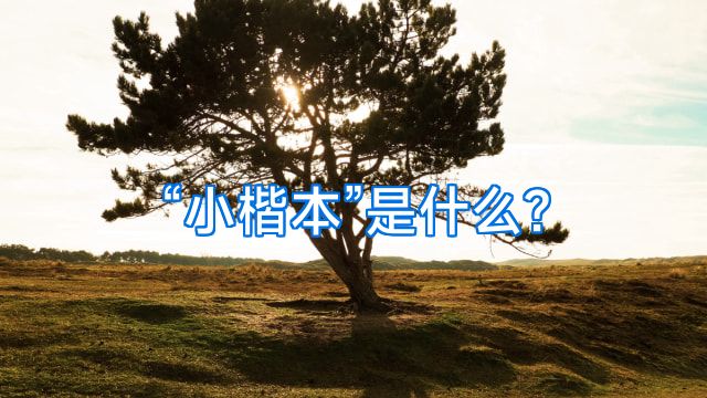 “小楷本”是什么?