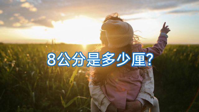 8公分是多少厘?