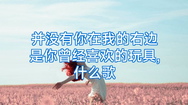 并没有你在我的右边是你曾经喜欢的玩具,什么歌