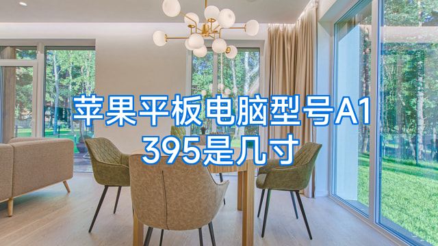 苹果平板电脑型号A1395是几寸