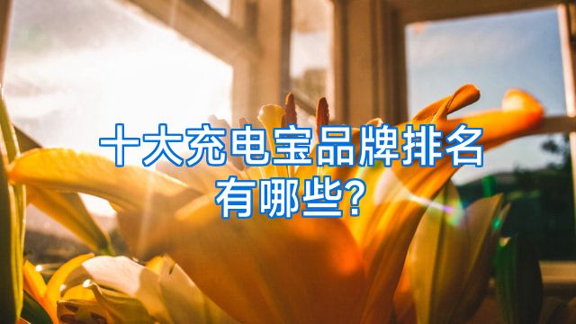 十大充电宝品牌排名有哪些?