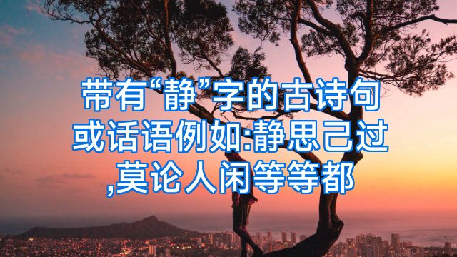 带有“静”字的古诗句或话语例如:静思己过,莫论人闲等等都