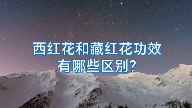 西红花和藏红花功效有哪些区别?