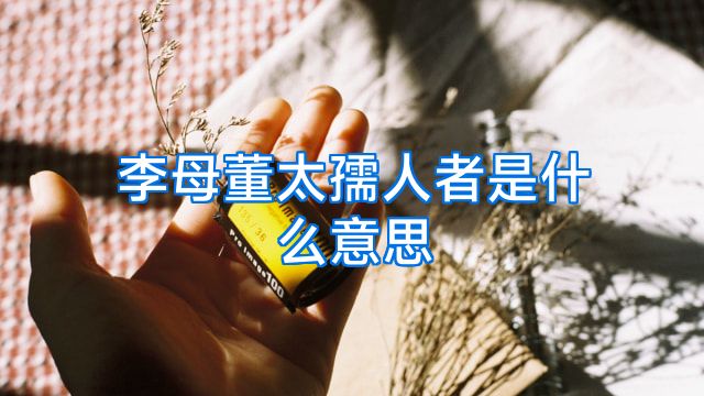 李母董太孺人者是什么意思