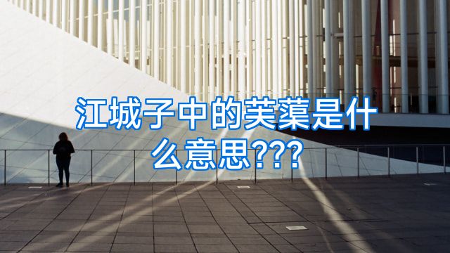 江城子中的芙蕖是什么意思???