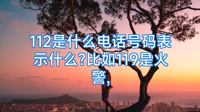 112是什么电话号码表示什么?比如119是火警,