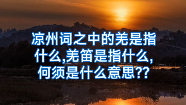 凉州词之中的羌是指什么,羌笛是指什么,何须是什么意思??