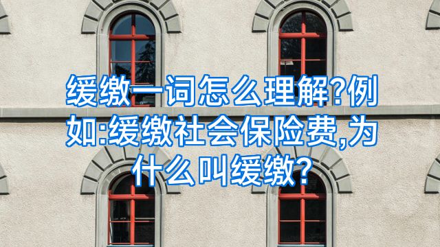 缓缴一词怎么理解?例如:缓缴社会保险费,为什么叫缓缴?