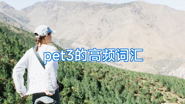pet3的高频词汇