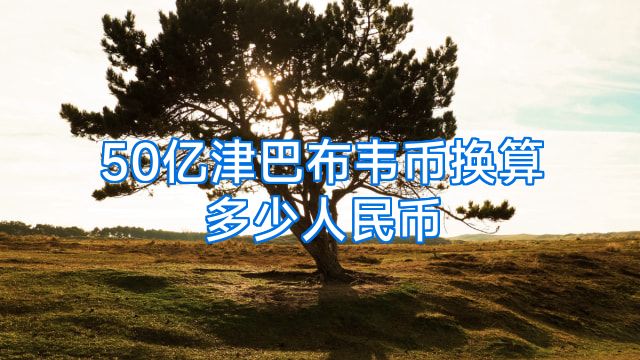 50亿津巴布韦币换算多少人民币
