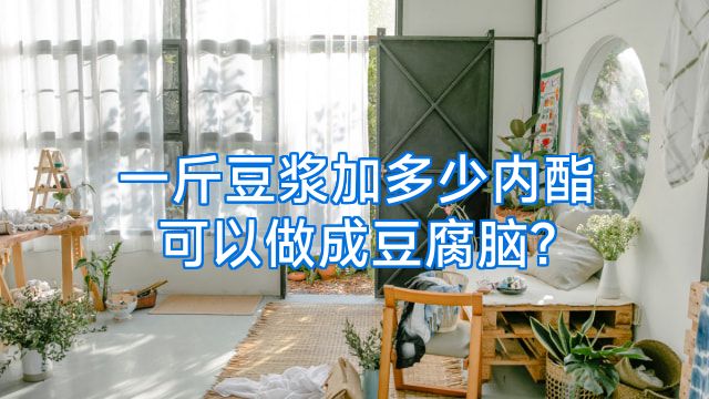 一斤豆浆加多少内酯可以做成豆腐脑?