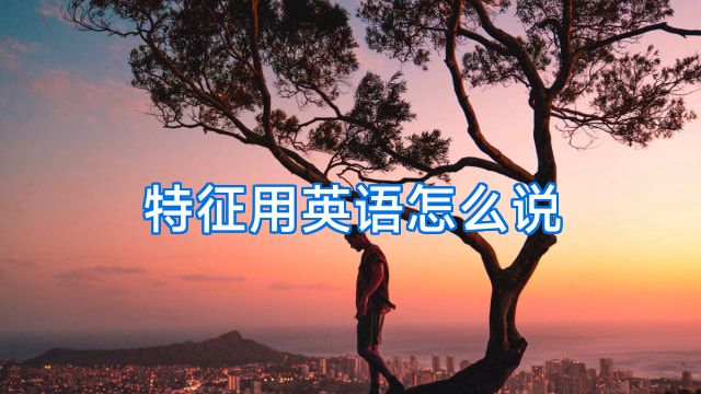 特征用英语怎么说