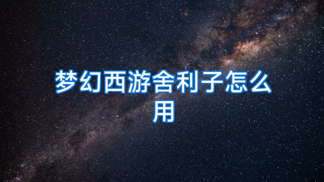 梦幻西游舍利子怎么用