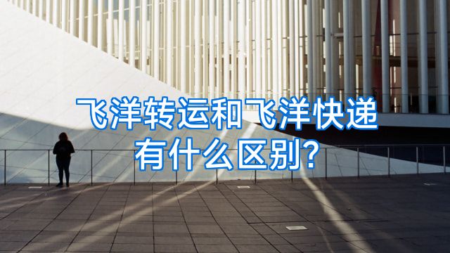 飞洋转运和飞洋快递有什么区别?