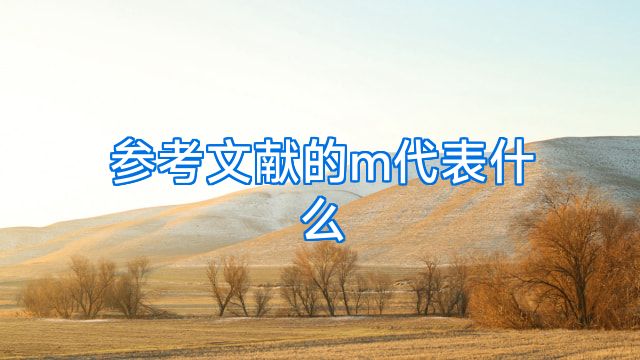 参考文献的m代表什么