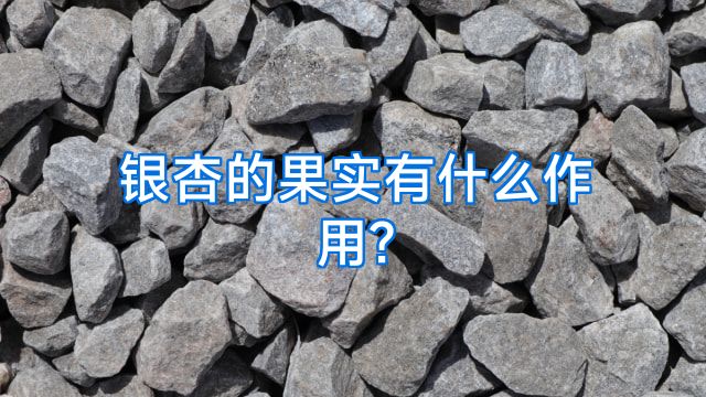 银杏的果实有什么作用?
