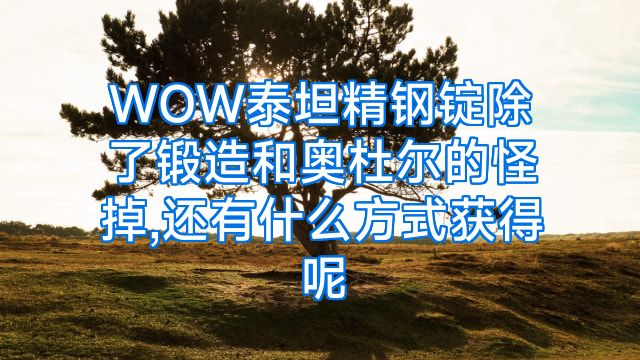 WOW泰坦精钢锭除了锻造和奥杜尔的怪掉,还有什么方式获得呢