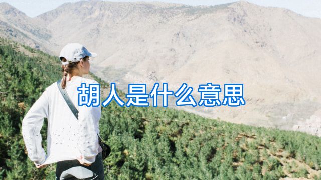 胡人是什么意思